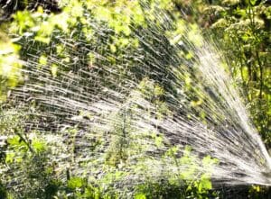Sprinkler blowouts, how and when to do them.