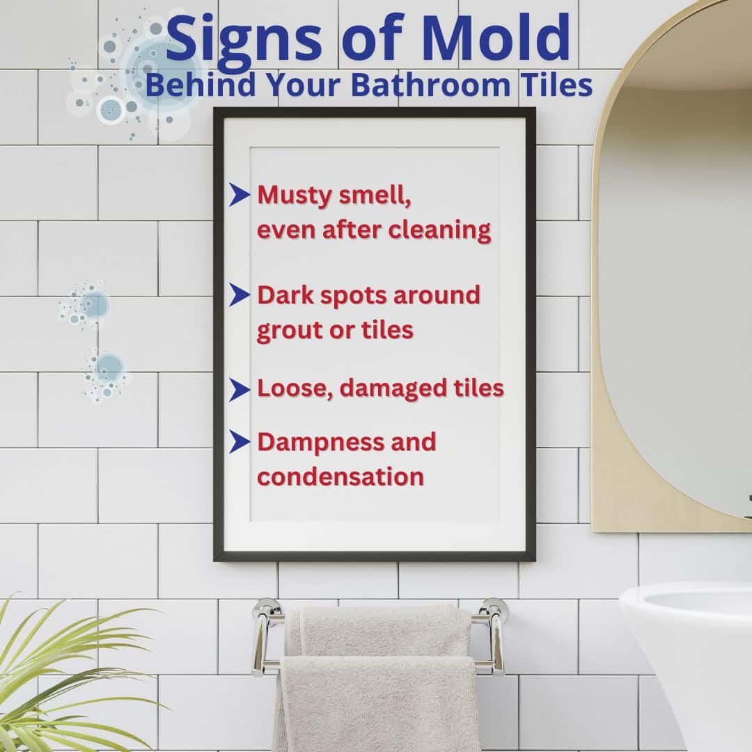 What to Do if You Suspect Mold Behind Bathroom Tile | America's Choice ...