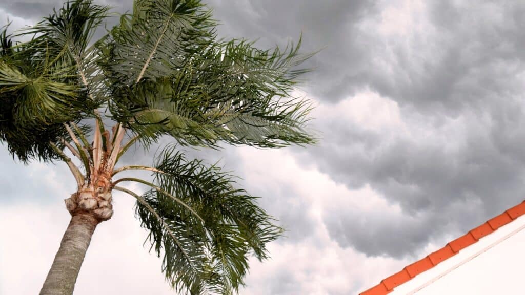 How to Prevent Storm and Wind Damage to Your Roof