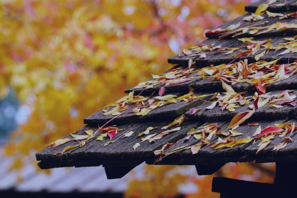 Essential Fall & Winter Home Maintenance in North Carolina