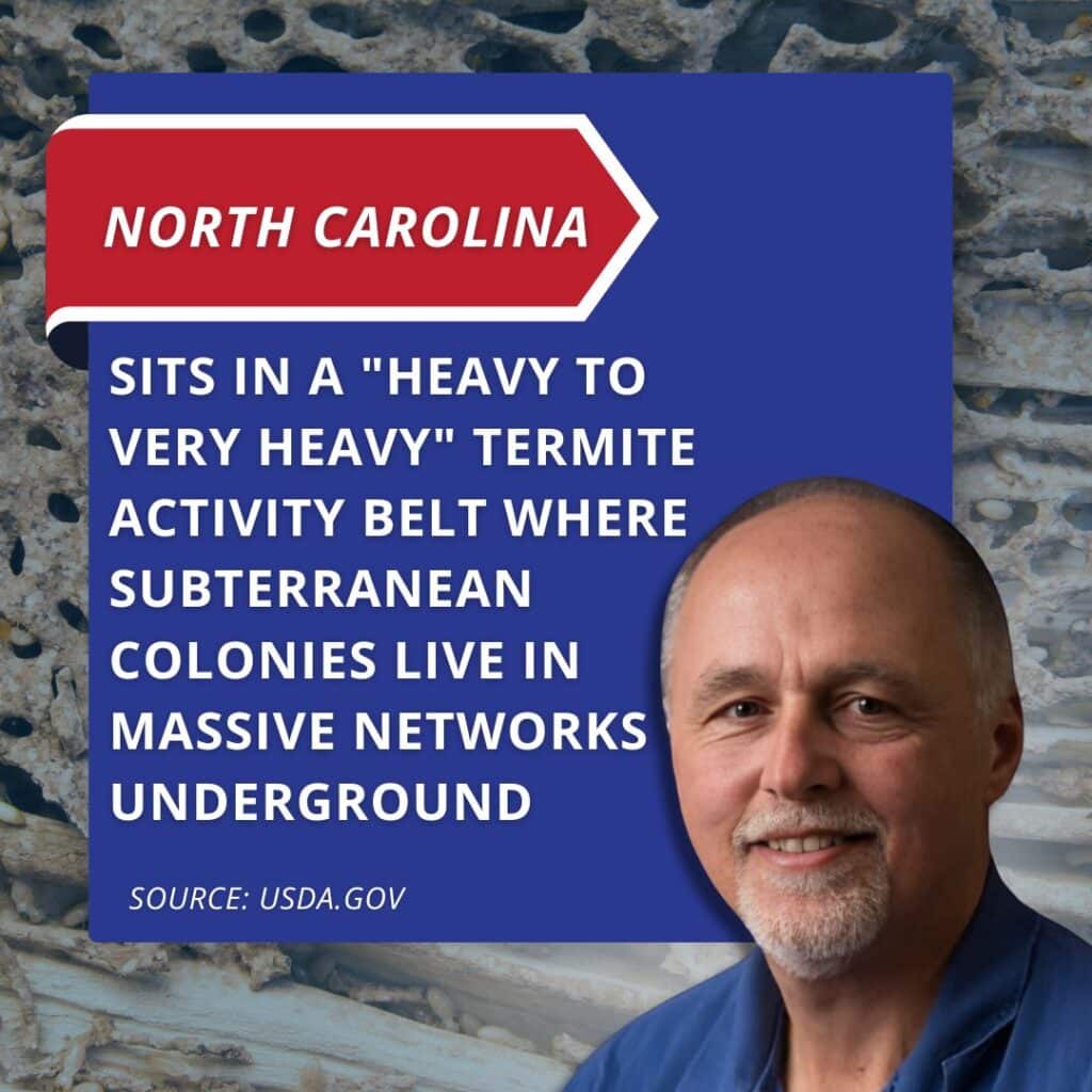 north carolina termite inspection importance stat