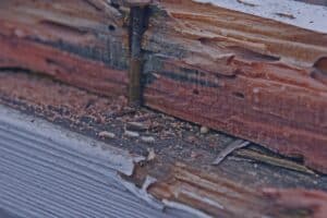 termite inspection for home purchase